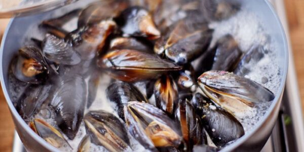 Mussels