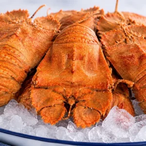 (A) Moreton Bay Large Bug cooked 200gr approx