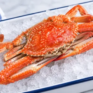 (A) Whole Cooked Sand Crab (Shell On) (QLD)